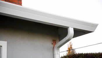 Professional Gutter Cleaning Services Florida