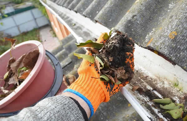 Professional Gutter Pressure Washing Services Florida